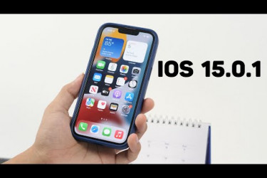 1633485848.jpg